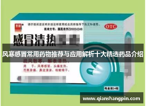 风寒感冒常用药物推荐与应用解析十大精选药品介绍