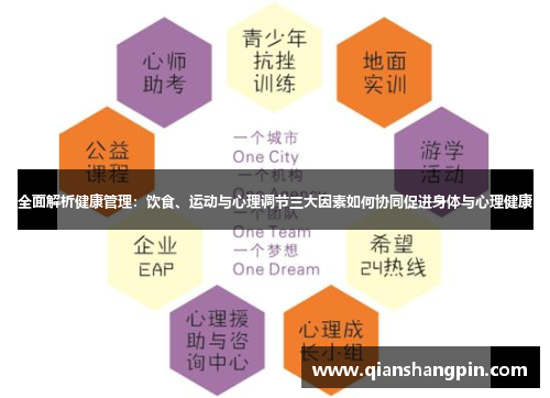全面解析健康管理：饮食、运动与心理调节三大因素如何协同促进身体与心理健康